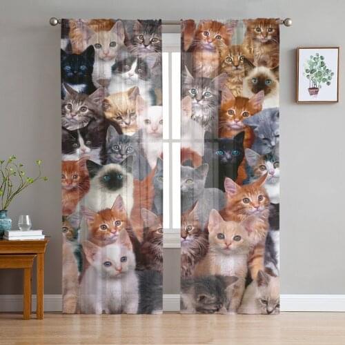 Animal Multi Color Cat Window Treatment Tulle Modern Sheer Curtains for Kitchen Living Room the Bedroom Curtains Decoration