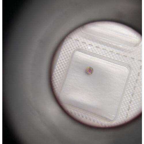 Movement accessories original ETA2671 movement accessories shock absorbers 2671 main splint shock absorbers gem