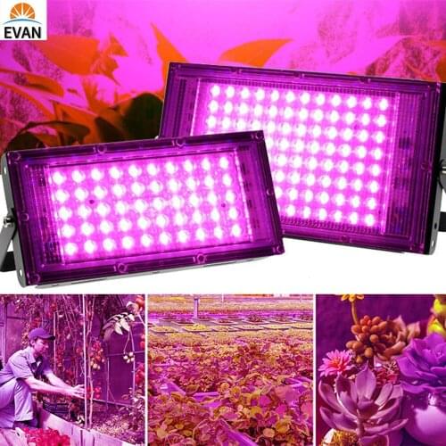 LED Grow Light Phyto Lamp 100W 200W 50W Full Spectrum Floodlight with 1M Wire Switch for Greenhouse Hydroponic Plant Growth Lamp