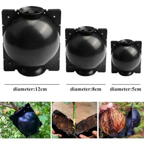 5/10/20pcs Plant Rooting Ball Garden Plant Sapling Grafting Rooting Propagation Growing Box High-Pressure Breeding Case