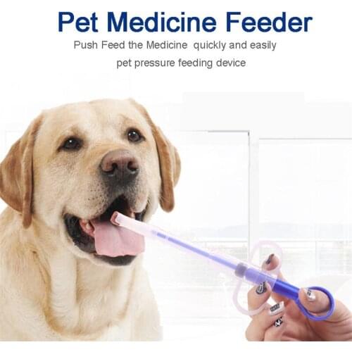 Chubby Catus Products For Dogs