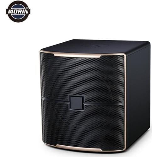 12 Inch Active Bass Speaker 300W Powered Audio Subwoofer Speakers Audio System Sound