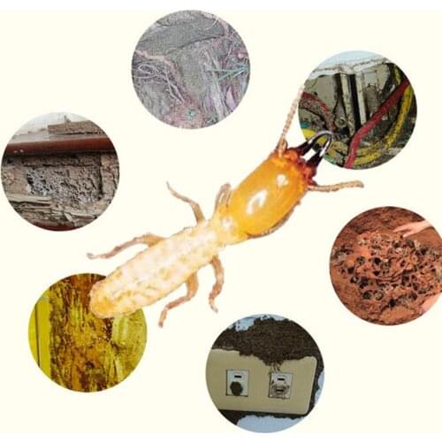 Termite Bait Station Garden Bugs Traps Tube Insect Killer Dam Economic Forest Farm Supply Odorless Pest Control