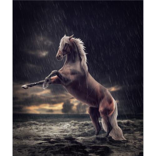 The custom 3D murals, Horse in the rain artistic background ,living room sofa TV wall bedroom wall paper