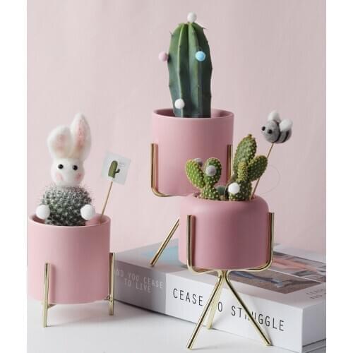 Pink ceramic pot with Gold Metal holder bonsais naturales lithops flower pots succulent planter bloempot vertical garden pots