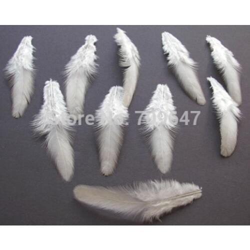 100Pcs/Lot! 5-8CM Natural White Soft Hackle Hen Feathers,Small Craft Plumes For Jewelry Making,Hats,Christmas Decoration
