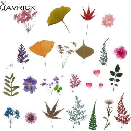 Mix Pressed Flower Leaves Plant Specimen Fillers for Epoxy Resin Jewelry Making Random Pattern
