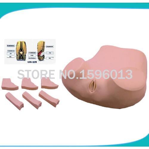 Vaginal Culdocentesis Simulator, The posterior vaginal fornix puncture model