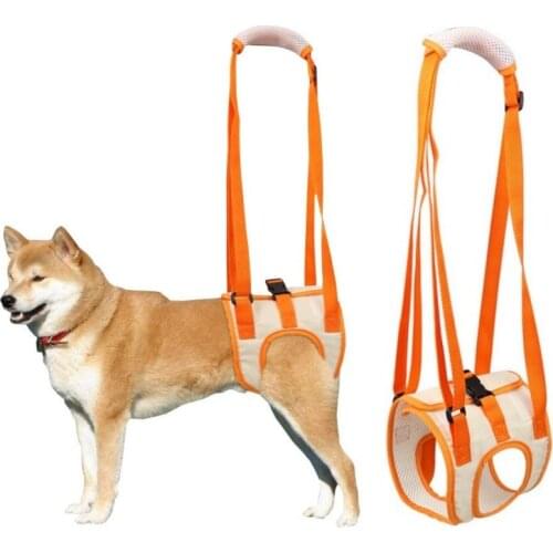 Pet Dog Hind Leg Auxiliary Belt Disabled Old Dog Rehabilitation Exercise Walking Large Dogs Collars Leashs Pets Balance Harness