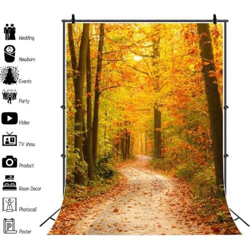 Yeele Photocall Autumn Scene Backdrop Photozone Maple Forest Baby Portrait Background Photography For Photo Studio Photographic