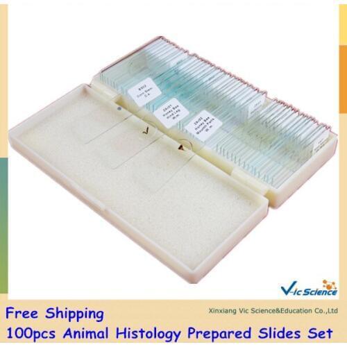 100pcs Animal Histology Prepared Slides Set