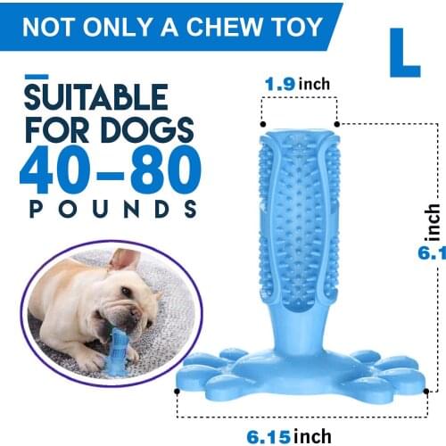 M/L Hot Selling Pet Dog Toothbrush Toys Durable Rubber Puppy Chew Toy Pet Products Dog Accessories French Bulldog Kong Dog Toys
