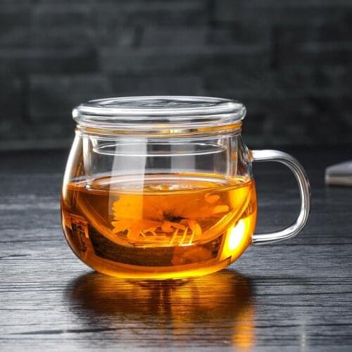 Office Heat-Resistant Glass Tea Coffee Mug with Lid and Infuser Transparent High Borosilicate Glass Filter Teacup Water Bottle