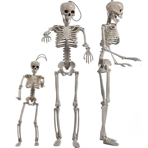 Halloween Skeleton Plastic Human Skull Skeleton Anatomical Skeleton Model for Halloween Party Haunted House Decoration Props