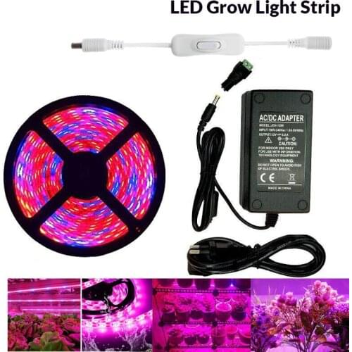 Plant Grow lights 5m Waterproof Full Spectrum LED Strip Flower phyto lamp Red blue 4:1 for Greenhouse Hydroponic+Power adapter