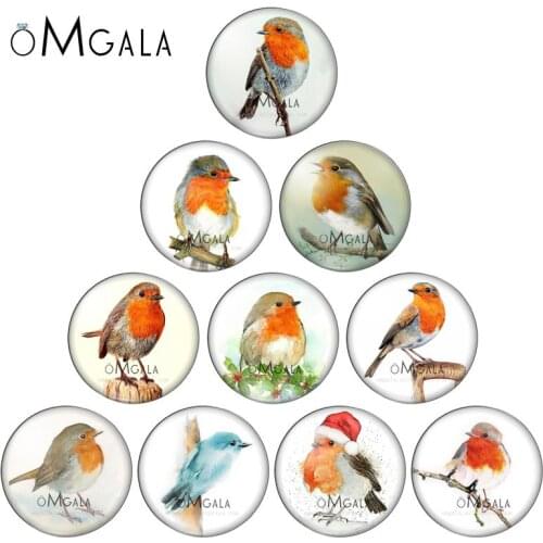 Artistic Drawing Vintage Birds Painting 12mm/16mm/18mm/20mm/25mm Round Photo Glass Cabochon Demo Flat Back Making Findings