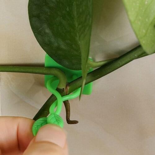 Garden Plant Wall Climbing Vine Clip Plant Climbing Wall Self-Adhesive Fastener Tied Fixture Vine Buckle Hook Solid Color 100Pcs