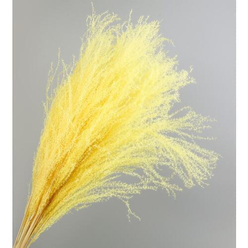 50pcs Dried Flowers Natural Pampas Grass Wedding Modern Home Decoration Bouquet Simulation Flower