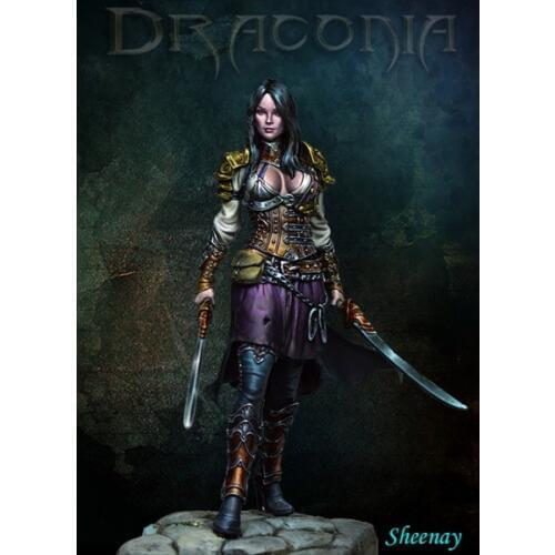 1/24 Sheenay Two Sword Resin kit Figure GK Movie game role Uncoated No colour