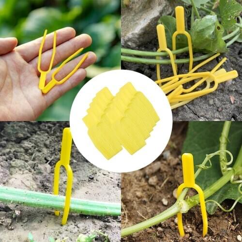 100PC Plant Vine Fixing Fork Plant Fixed Bracket Garden Supplies Vine Plant Fastening Fixture Clips Greenhouse Planting Tools