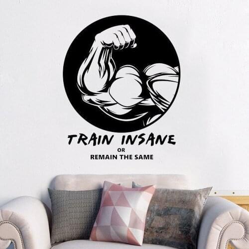 Gym Wall Decals Fitness Gym Wall Decal TRAIN INSANE from State Of The Wall Art Wall Sticker Vinyl Removable DK-253