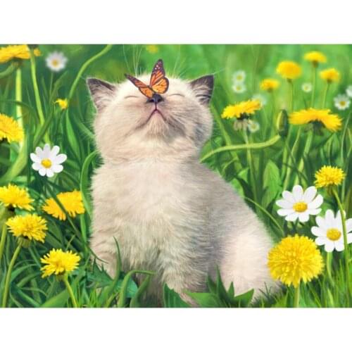 Diamond Embroidery 5D Diy Cat and Butterfly Playful Square Round Mosaic Rhinestone Pictures Home Decor Diamond Painting ZP-1221