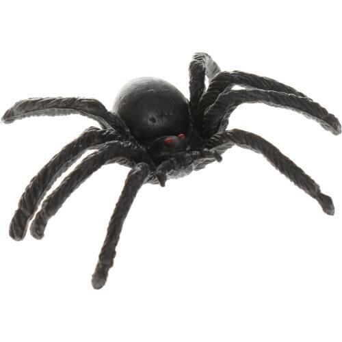 Bright Colors Eye Catching Insect Viewer Air Lid Box Magnifier Bug Len Nature Explore with Creepy Spider Toys