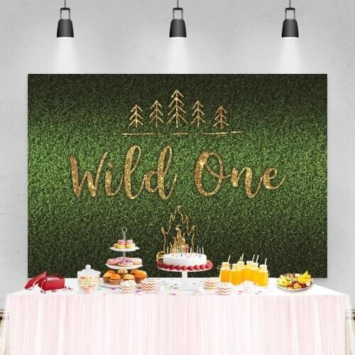 Laeacco Green Grassland Foliage Wild One Photography Backdrops Birthday Backgrounds Newborn Photocall Baby Shower Photozone Prop
