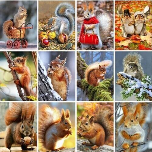 EverShine Diamond Painting Full Square Drill Squirrel Cross Stitch Diamond Embroidery Animal Mosaic Kits Handicraft Needlework