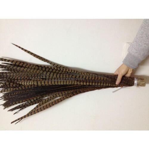Wholesale perfect 100pcs high quality natural female Pheasant feathers 28-32inch/70-80cm Decorative diy