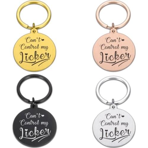 Personalized Keychain for Pet Stainless Steel Keyring Engraved Name Number Pendant Dog ID Tags for Dog Cat Puppy Dog ID Tag