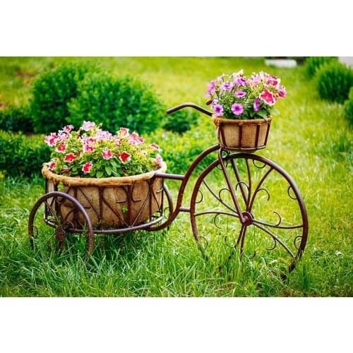 Photographic Spring Backdrops Green Tree Nature Bicycle Flower Pot Background Photography Photocall Photophone for Photo Shoots