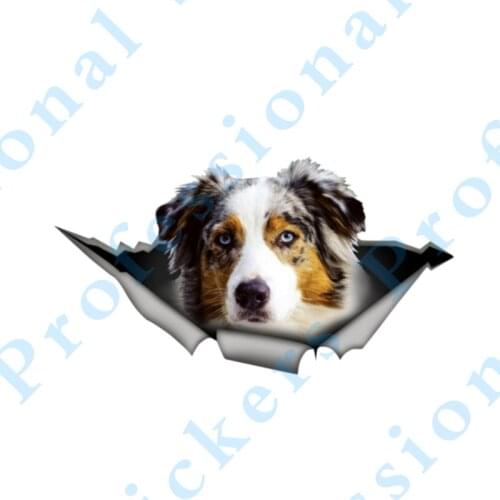 3D Animal 13 x 4.8 3D Pet Graphic Vinyl Decal Lion Car Decal Car Motorcycle Laptop Vinyl Animal Car Stickers