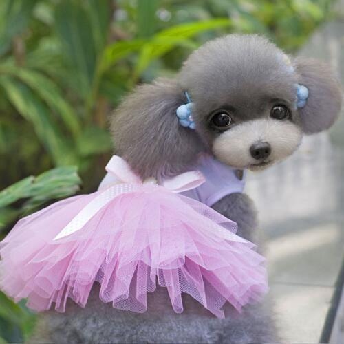 Pet Dog Dress Princess Skirt Spring/Summer Heart Gauze Skirt Solid Dog Dress Elegant Ladylike Dot Pet Clothes Dress