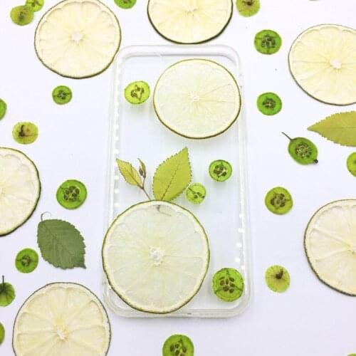 Seedless Lemon Slice Specimen Real Fruit Flower Hand DIY Mobile Phone Shell UV Glue Jewelry Candle Making Green Refreshing