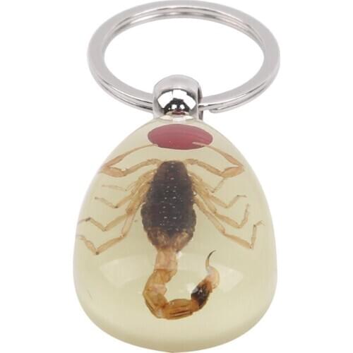 Luminous Real Insect Key Chain - New Luminous Product Real Ant And Scorpion Keychain Bag Car Key Ring