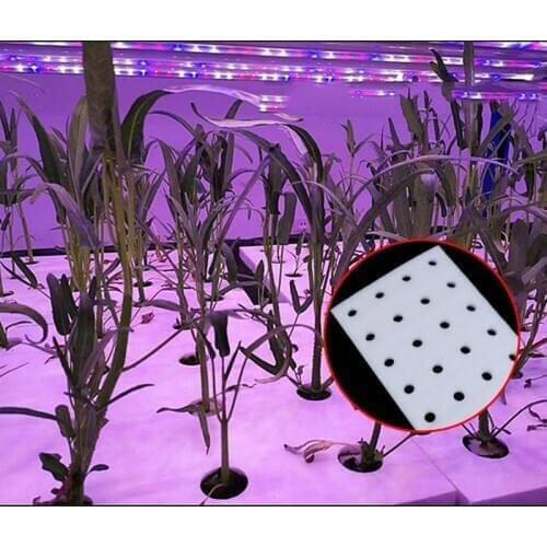 Hydroponic Vegetable Floating Board Soilless Cultivation Equipment Fish And Vegetable Symbiosis Hydroponic Foam Board