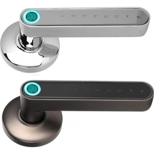 Biometric fingerprint Lock Bluetooth Electric door lock Digital lock Handle Rechargeable battery Zinc alloy Indoor lock
