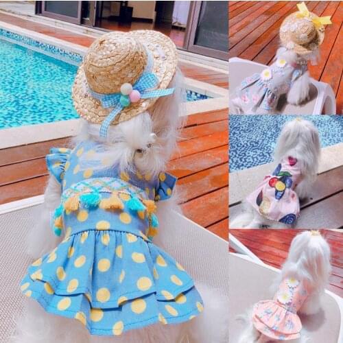 Dog Clothes Female Teddy Princess Skirt Little Princess Spring Thin Spring And Autumn Lovely Summer Net Red