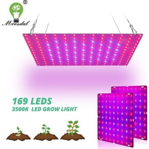 LED Grow Light with 169x2835 Lamp Beads Phytolamp for Plants Quantum Board Growth Lighting Full Spectrum Hydroponics Plant Lamp