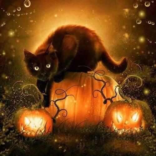 5D DIY Diamond Painting Cat round/square Cross Stitch Diamond Embroidery kits Diamond Mosaic home Decorative drill