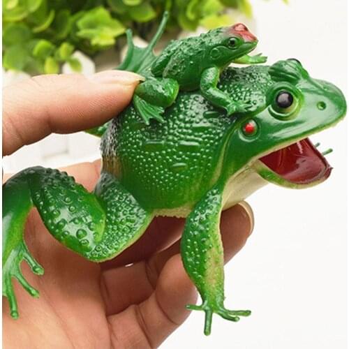Simulation Frog Model Mother and Child Frog Toad Fake and Moderate Moderate Environm Props Hardness Safety Tricky Frog