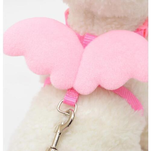 Adjustable Pet Collar with Rope Angle Wings Pet Dog Cat Chest Straps Traction Collar Leashes Straps Set Pets Supplies