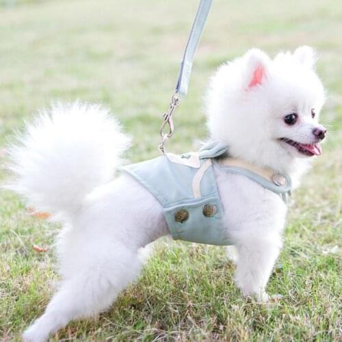 1 Set Pet Harness with Leash Breathable Unisex Size Medium Dog Outdoor Chest Strap Summer Harnesses Puppy Costume Travel