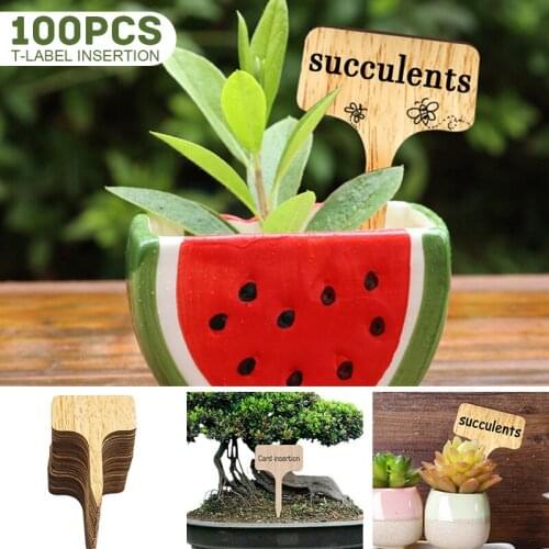 100PCS T-Shape Bamboo Plant Labels Wooden Plant Tags Nursery Pots Seeding Wood Sign Tags Garden Flowers Markers Tool Accessories