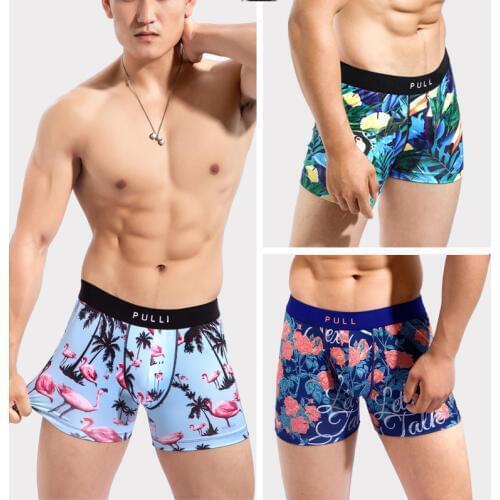 New collection Mens Underwear Boxers Sexy gym PULL Bikini Under Wear Manin cartoon leica