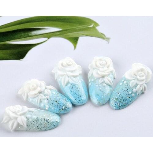 Acrylic Liquid Powder Nail Polymer DIY Nail Art Tips Builder Sculpture Nails Polish Manicure Salon SANA889