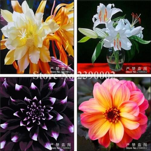 5D Red Peony DIY Posters Rhinestone Diamond Embroidery Paintings Full Diamond Mosaic Needlework Diamond Paintings Crafts