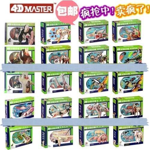 Simulation animal doll 4D MASTER puzzle assembly toy creature Fowl cat dog horse pig shark whale organ anatomy