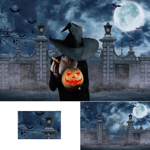 Halloween Night Party Backdrop Ruins Weird Full Moon Branches Bat Ghost Gate Decoration Background Photography for Photo Studio